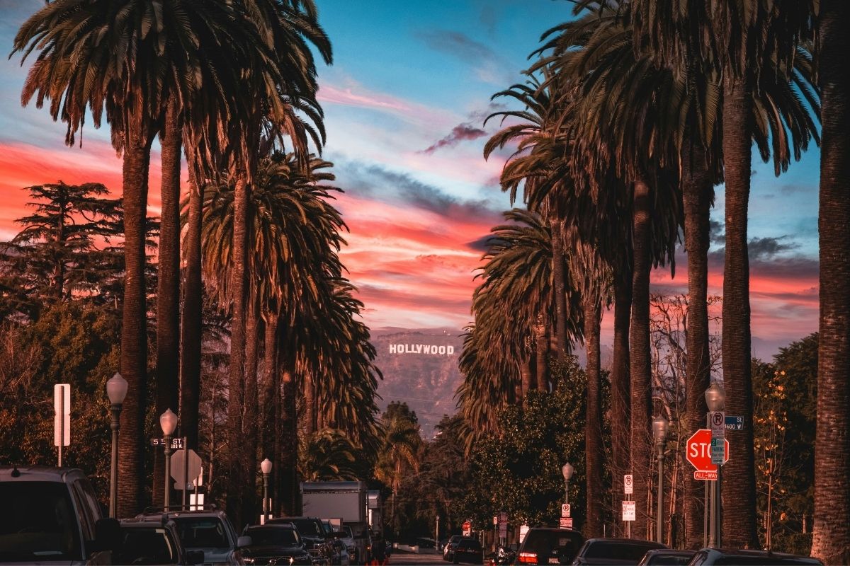 Los Angeles palm trees with the Hollywood sign at sunset